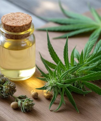 CBD et alimentation : comment intégrer le cannabidiol dans votre routine nutritionnelle pour améliorer bien-être et digestion