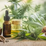 Flower power : bienfaits, usages et tendances du cannabis médical