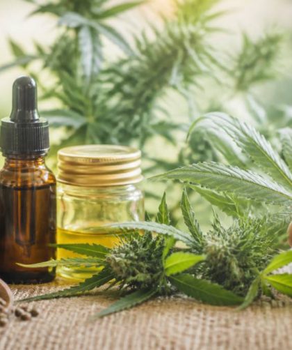 Flower power : bienfaits, usages et tendances du cannabis médical