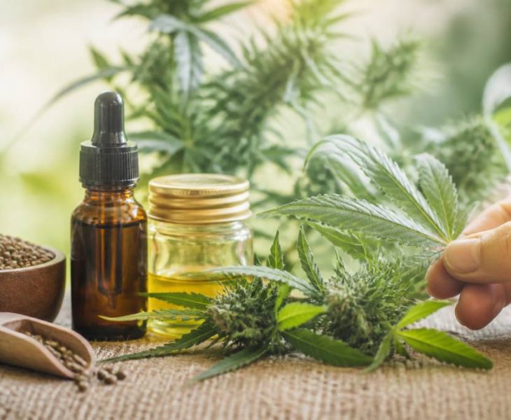 Flower power : bienfaits, usages et tendances du cannabis médical