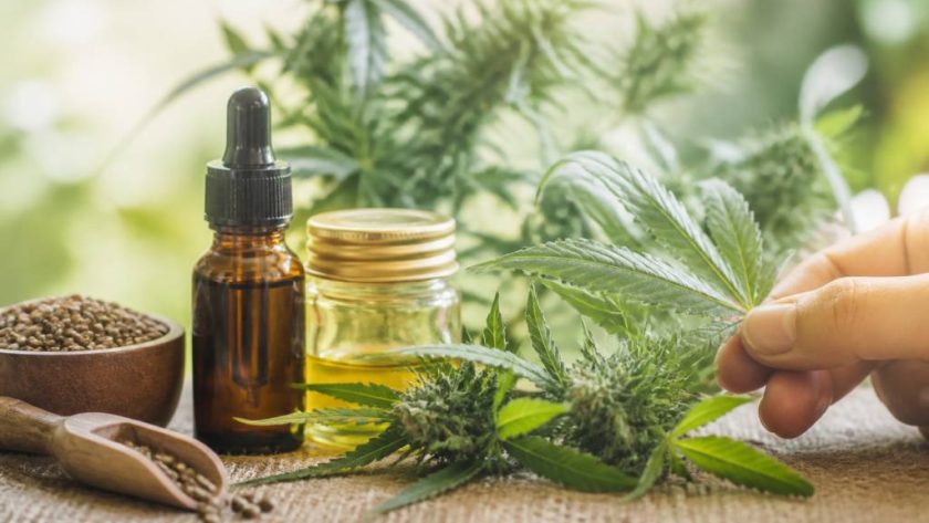 Flower power : bienfaits, usages et tendances du cannabis médical