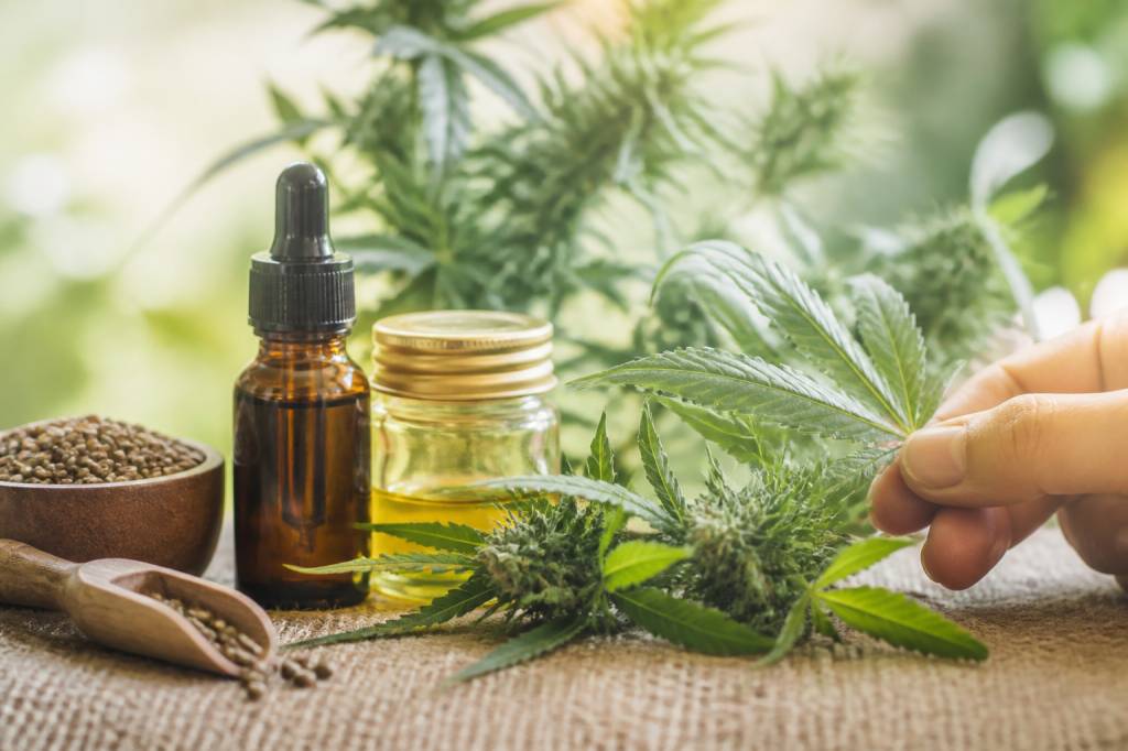 Flower power : bienfaits, usages et tendances du cannabis médical