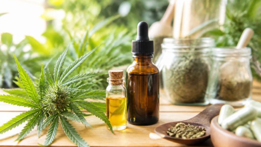 Cbd bio shop caen : guide pour choisir des produits de qualité