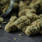 Power flowers : guide complet sur ces fleurs de cannabis puissantes