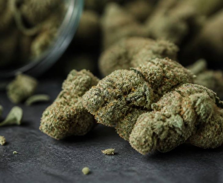 Power flowers : guide complet sur ces fleurs de cannabis puissantes