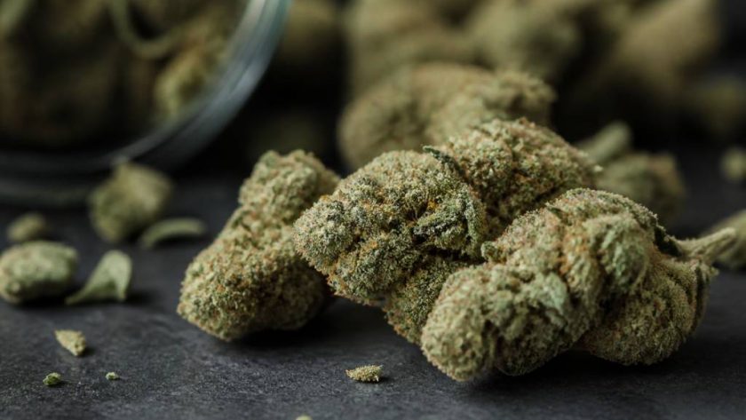 Power flowers : guide complet sur ces fleurs de cannabis puissantes