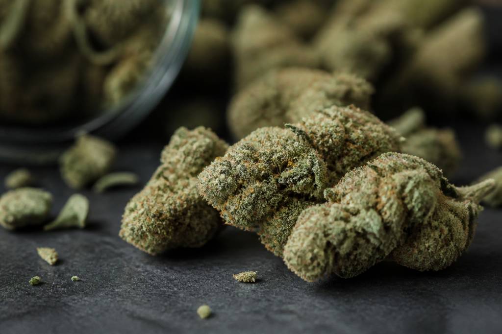 Power flowers : guide complet sur ces fleurs de cannabis puissantes