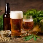 Bière au chanvre : bienfaits, fabrication et usages du cannabis dans la bière