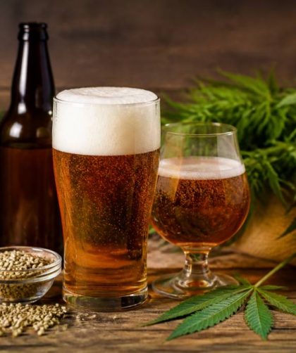 Bière au chanvre : bienfaits, fabrication et usages du cannabis dans la bière
