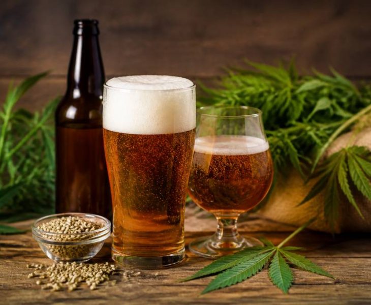 Bière au chanvre : bienfaits, fabrication et usages du cannabis dans la bière