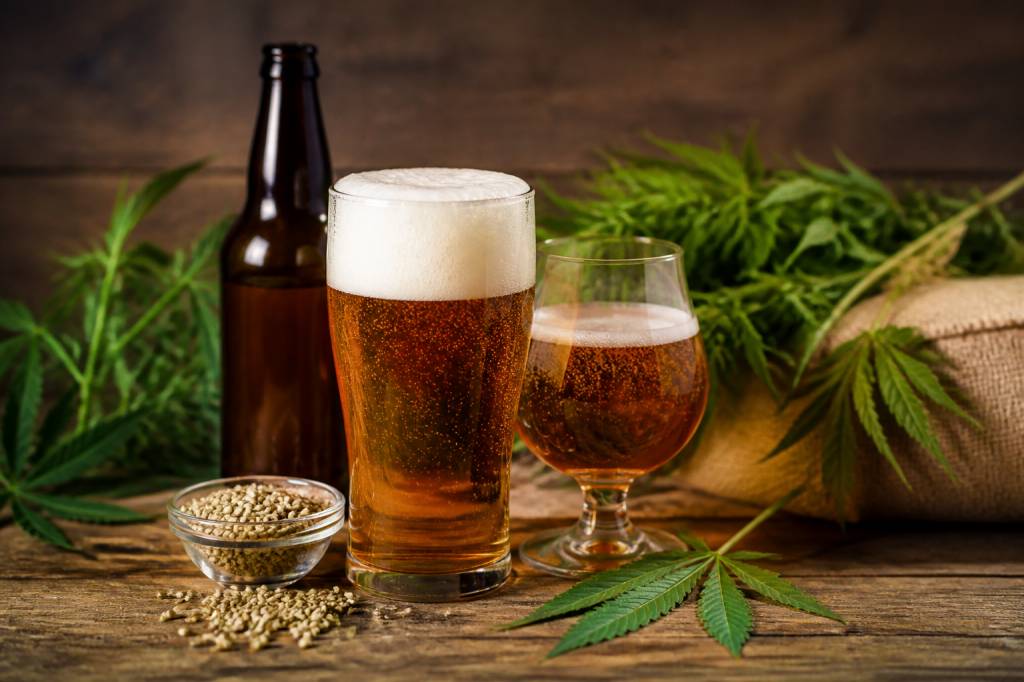 Bière au chanvre : bienfaits, fabrication et usages du cannabis dans la bière