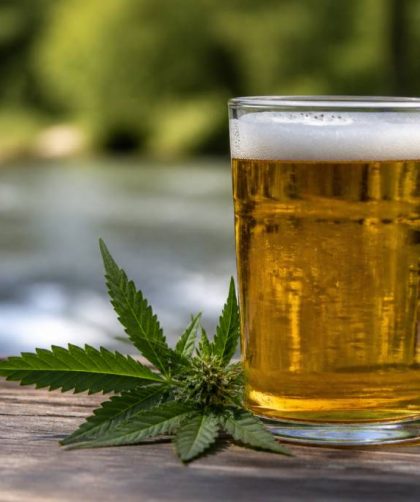 Bière cbd : effets, composition et précautions à connaître