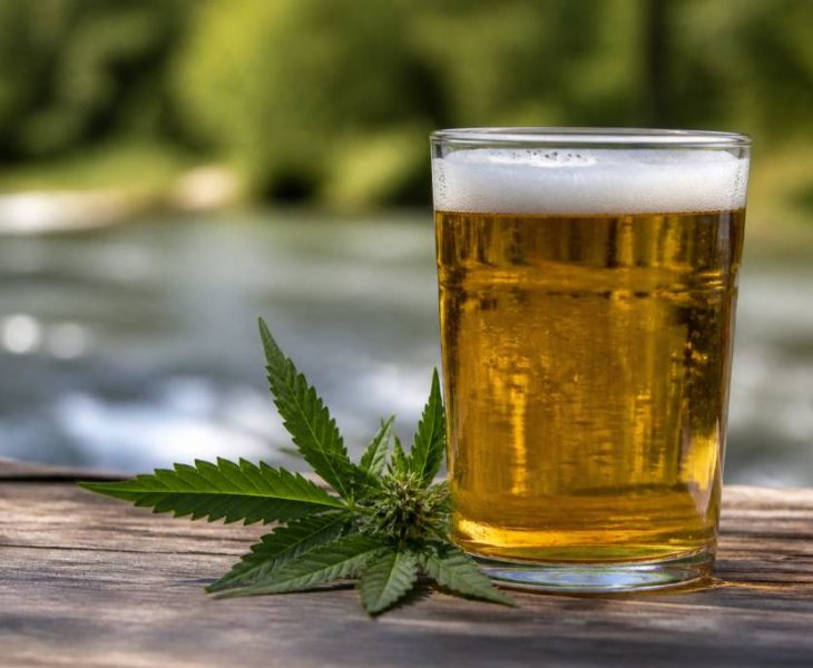 Bière cbd : effets, composition et précautions à connaître