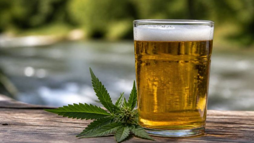 Bière cbd : effets, composition et précautions à connaître