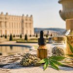 Cbd versailles : où acheter du cbd de qualité et quels produits choisir ?