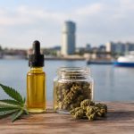 CBD à Dunkerque : comment choisir des produits de qualité ?