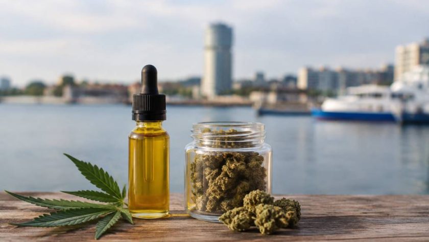 CBD à Dunkerque : comment choisir des produits de qualité ?