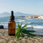CBD Hendaye : où trouver des produits au cannabidiol de qualité ?