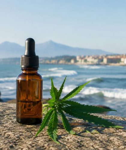 CBD Hendaye : où trouver des produits au cannabidiol de qualité ?