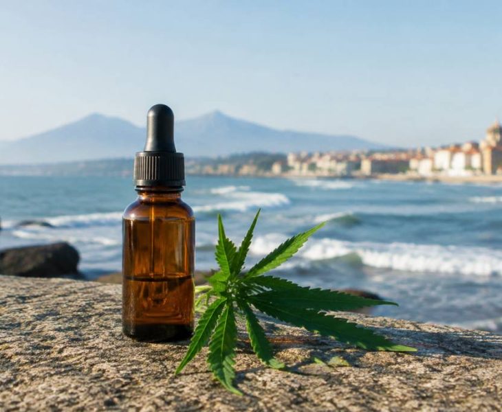 CBD Hendaye : où trouver des produits au cannabidiol de qualité ?